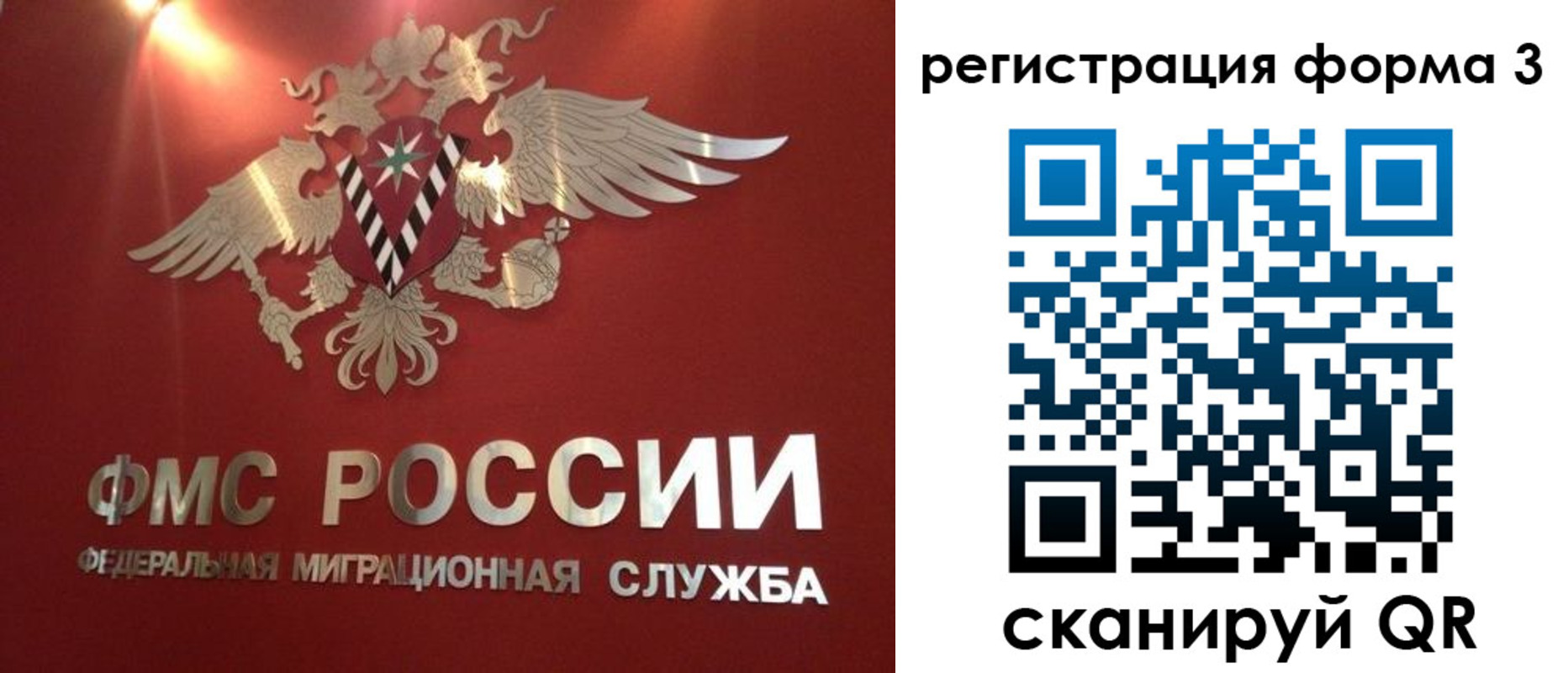 прописка гарантия в Камбарке